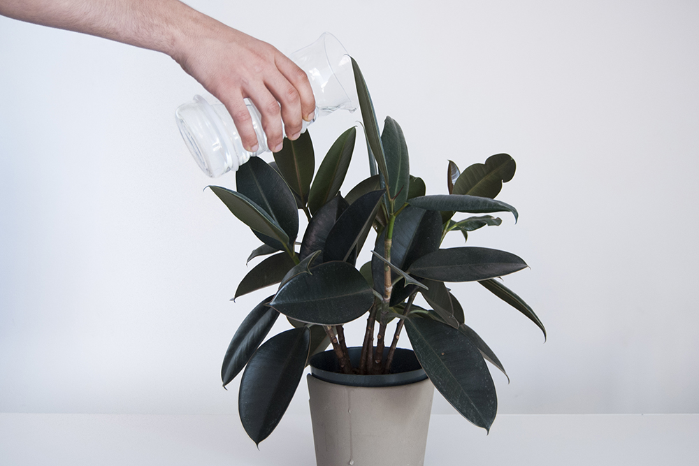 Life Measured Pitcher