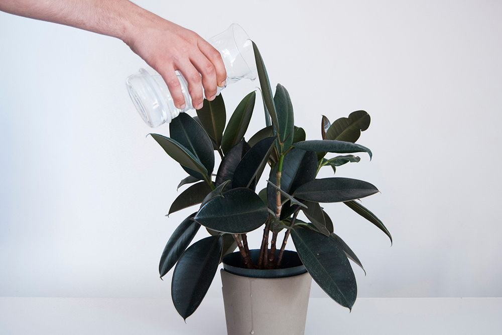 Life Measured Pitcher