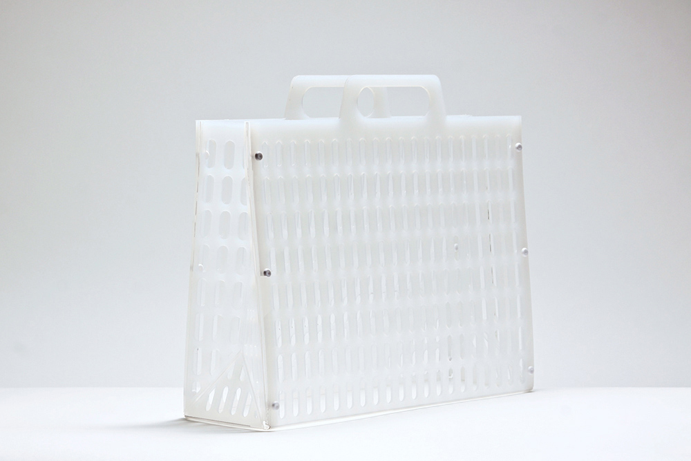 Oaxaca Case
